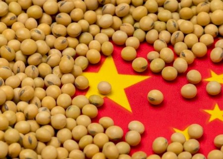 China mostra chegada de soja brasileira e diz que não precisa dos EUA