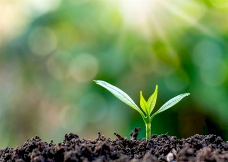 Microrganismos no controle de pragas: Sustentabilidade