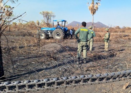 Justiça obriga criadores de gado a desocuparem áreas degradadas no Pantanal