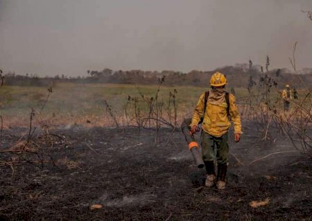 STF determina desapropriação de terras incendiadas ilegalmente no Pantanal