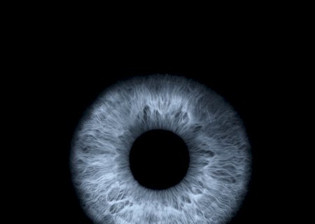 O que a pupila, a ‘menina dos olhos’, revela sobre o seu estado e saúde | Letra de Médico