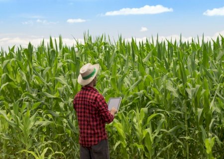 O que mais te preocupa na hora de declarar o IR como produtor rural?