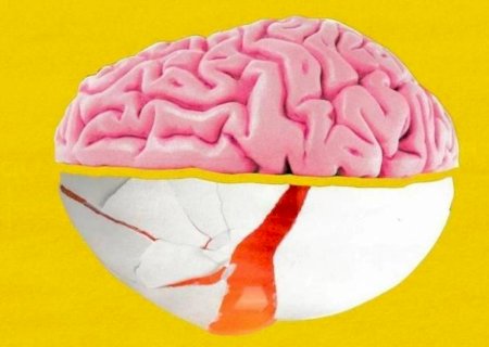 O que é a colina, nutriente vital para o cérebro (e em quais alimentos é encontrada)