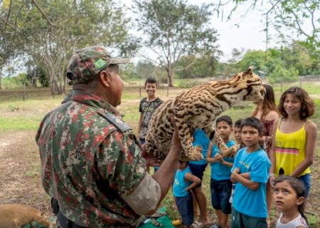 Com expedições e campanhas, PMA faz ações de orientação sobre animais silvestre durante todo o ano