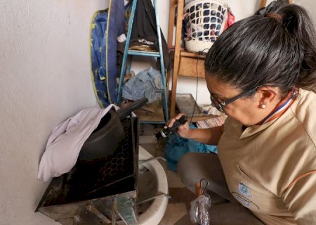 Boletim Epidemiológico: MS registra 2.445 casos confirmados de dengue