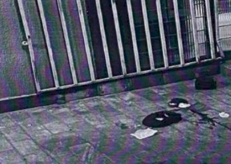 Jurados absolvem mulher acusada de matar padrasto atropelado