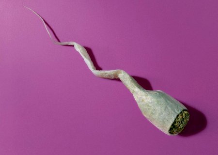 Uso frequente de maconha pode afetar qualidade do esperma, apontam estudos