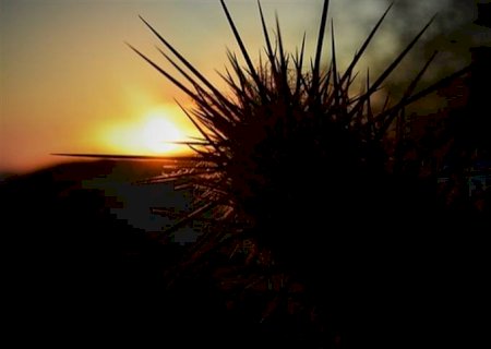 Biossoluções fortalecem o solo ante extremos climáticos