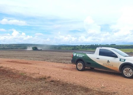Colheita da soja entra na reta final no Estado