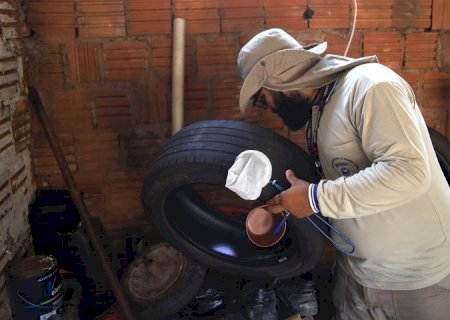 MS registra 5.117 casos confirmados de dengue