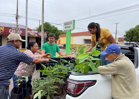 Ação especial oferta mais de 150 mudas nativas à população