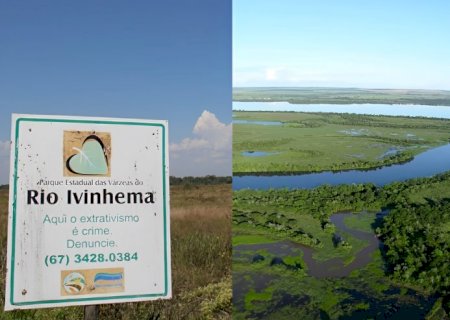 No Dia da Mata Atlântica, o Parque do Ivinhema mostra como a política virou floresta