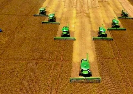 Agro de MS sofre pressão em duas frentes, com decisão do Incra e do STF