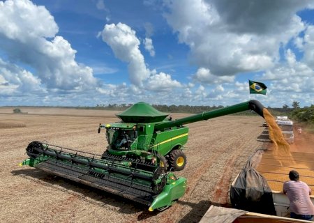 Safra 25/26 de soja entra 'no radar'; saiba o que esperar do mercado
