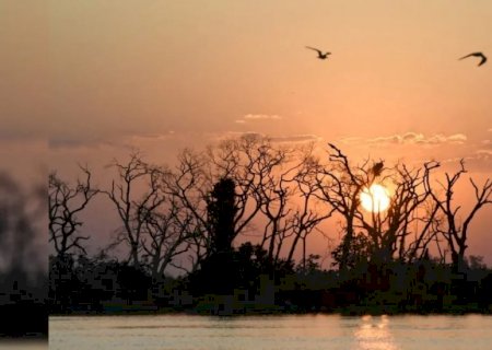 Inverno em MS terá temperaturas acima da média e Pantanal com menos chuva