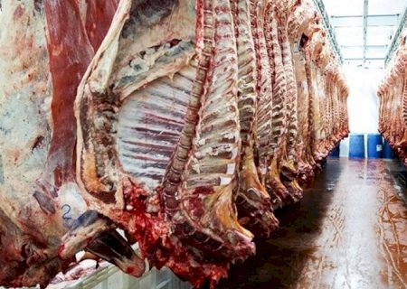 Autoridades do Japão vêm ao Brasil para discutir inspeção de frigoríficos