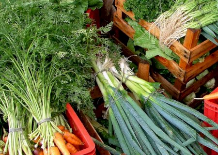 Custo de cesta básica ideal para uma pessoa chegou a R$ 432 em abril