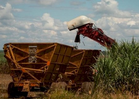 Preços do açúcar caem e do etanol sobem enquanto safra de cana avança