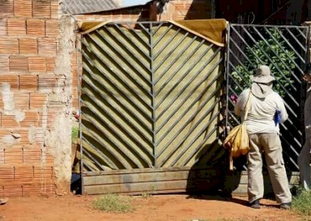 MS tem 6ª morte por chikungunya em 2025, quase o total registrado em 9 anos