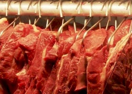 Carne do Brasil: importação pelos EUA cresce quase 500%