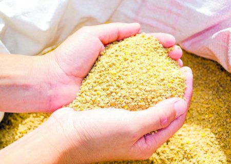 Preços do farelo de soja seguem em queda impulsionados por oferta recorde