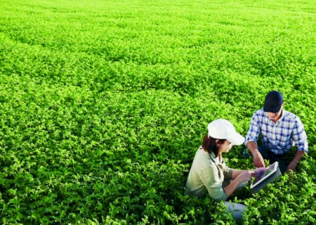Agricultura do futuro depende de sinergia entre tecnologias