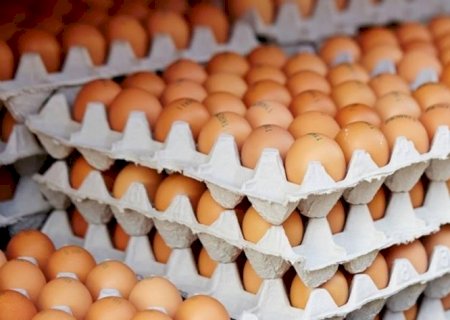 Preços: Ovos e frango cairão como consequência dos embargos às exportações