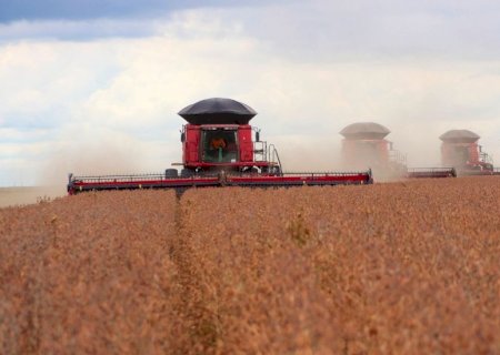 Colheita de soja da safra 2024/25 atinge 97,7% da área no Brasil