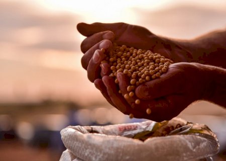 Com USDA à vista, comercialização de soja dispara no Brasil; como ficou o mercado?