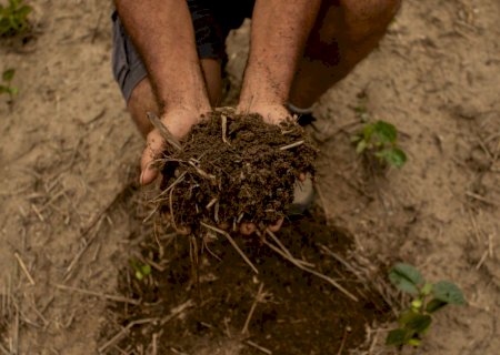 Conheça o primeiro laboratório agrícola de saúde de solo do Brasil
