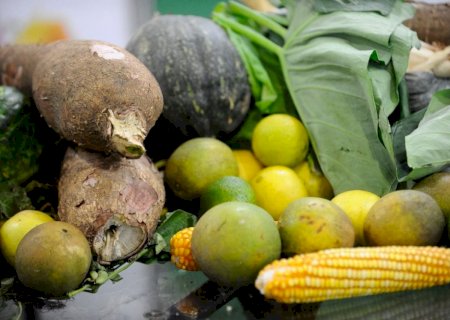 Cresce o consumo de produtos sem defensivos químicos no país