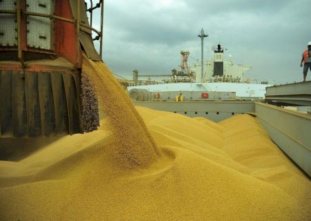 Instabilidade toma conta do mercado de soja: grão sobe, cai e comercialização trava no Brasil