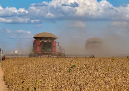 Produtos agro motivam aumento na estimativa de crescimento do PIB em 2025