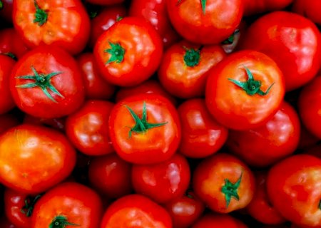 Tomate sofre queda nos preços com avanço da safra e baixa demanda