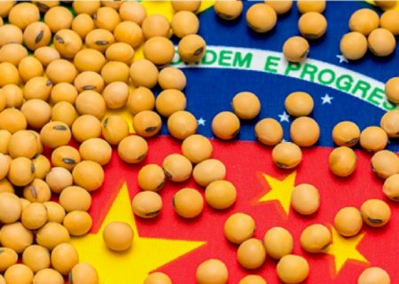 China retoma importações de cinco unidades brasileiras de soja