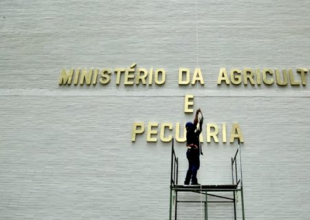 Ovos com foco de gripe estão em granjas de 3 Estados