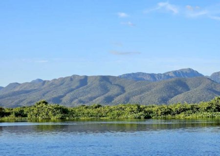 Lei do Pantanal fez desmatamentos caírem pela metade no bioma de MS