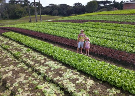 Agricultores familiares terão direito a seguro-desemprego em caso de perda de safra