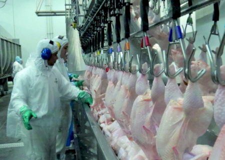 Depois da China, União Europeia também suspende importações de carne de frango do Brasil