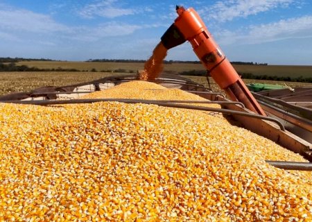 Produção de etanol de milho cresce no país e coloca MS entre os maiores produtores