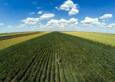 Em dez meses, custeio do crédito rural chega a R$ 298,6 bilhões