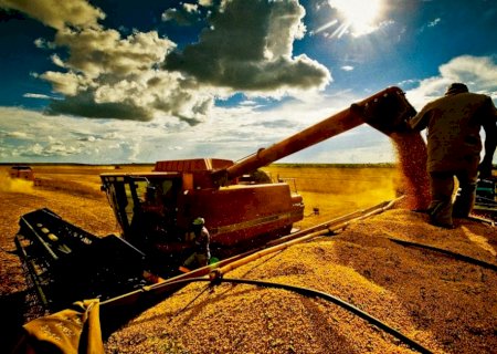 Quase lá! Brasil se aproxima do fim da colheita de soja; confira os números