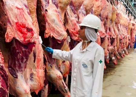Câmara deve votar projeto que reativa Fundo de Defesa Agropecuária na próxima semana