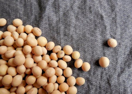 Soja: confira como deve ficar o mercado para o grão hoje