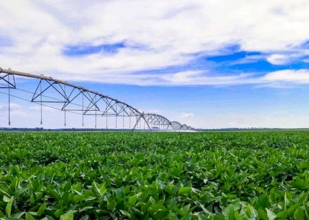 Irrigação impulsiona agricultura sustentável e coloca MS entre líderes na produção de grãos