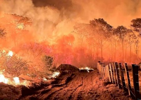 Ações da Operação Incêndios 2025 da PF iniciam pelo Pantanal