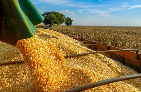 Brasil poderá ter novo recorde na produção de grãos na safra 2024/2025