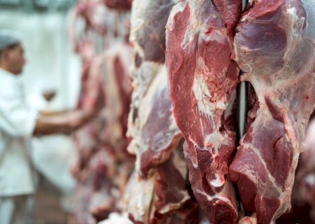 Produção brasileira de carnes deve alcançar 31,5 milhões de toneladas