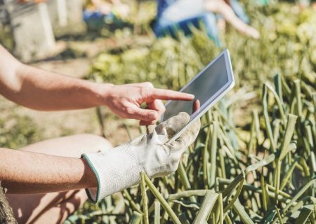 Profissionais do agro sentem impacto das transformações digitais