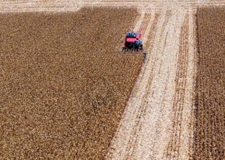 Governo anuncia Plano Safra 25/26 em 30 de junho e primeiro de julho | Brasilagro
